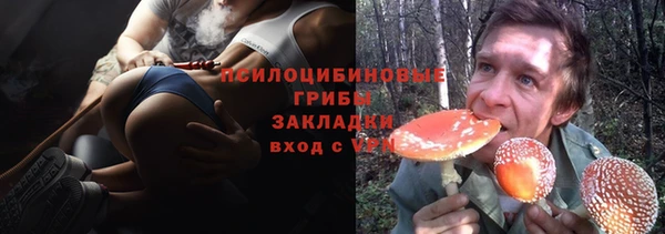 индика Нефтегорск