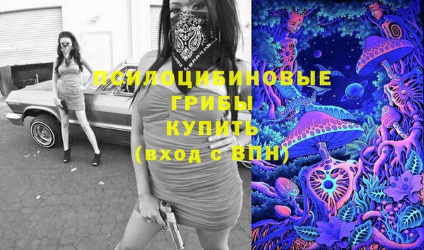 индика Нефтегорск