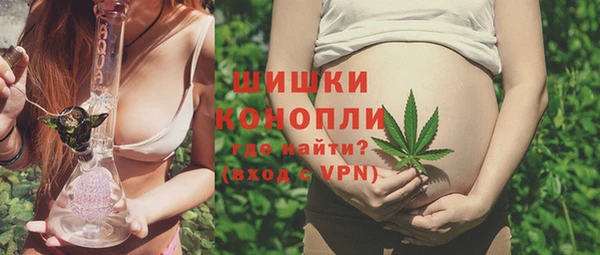 стаф Баксан