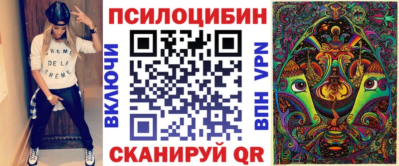 купить наркоту  Курлово  Галлюциногенные грибы GOLDEN TEACHER 